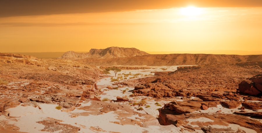 Sunrise over the Sinai Desert
